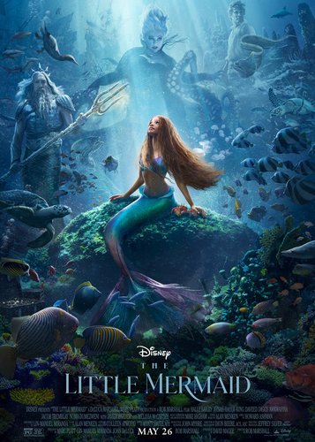 Arielle die Meerjungfrau - Poster 5