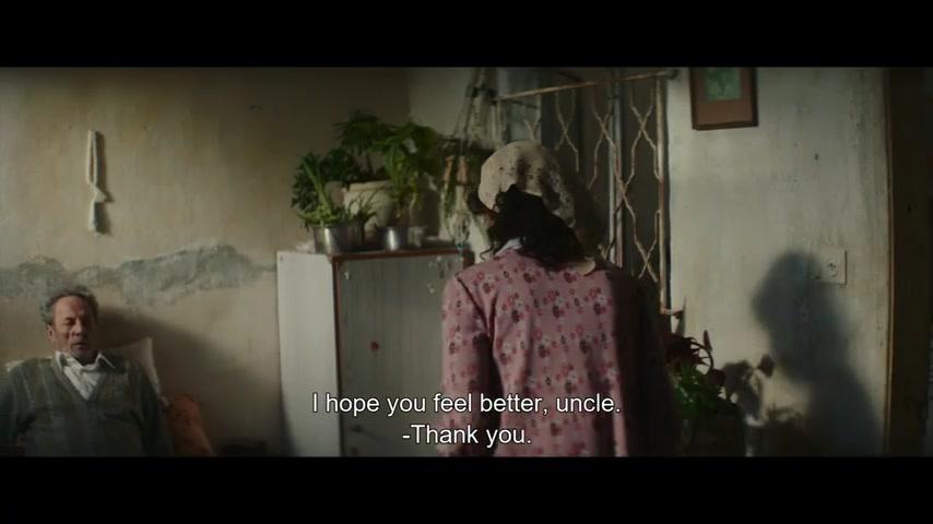 Im Schatten des Orangenbaums - Teaser - Englisch - SD