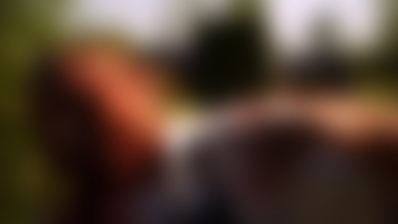 Audie und der Wolf - Trailer - Englisch - SD