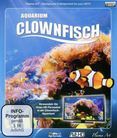 Aquarium - Clownfisch