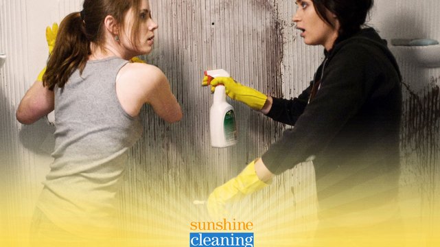 Sunshine Cleaning - Wallpaper 2