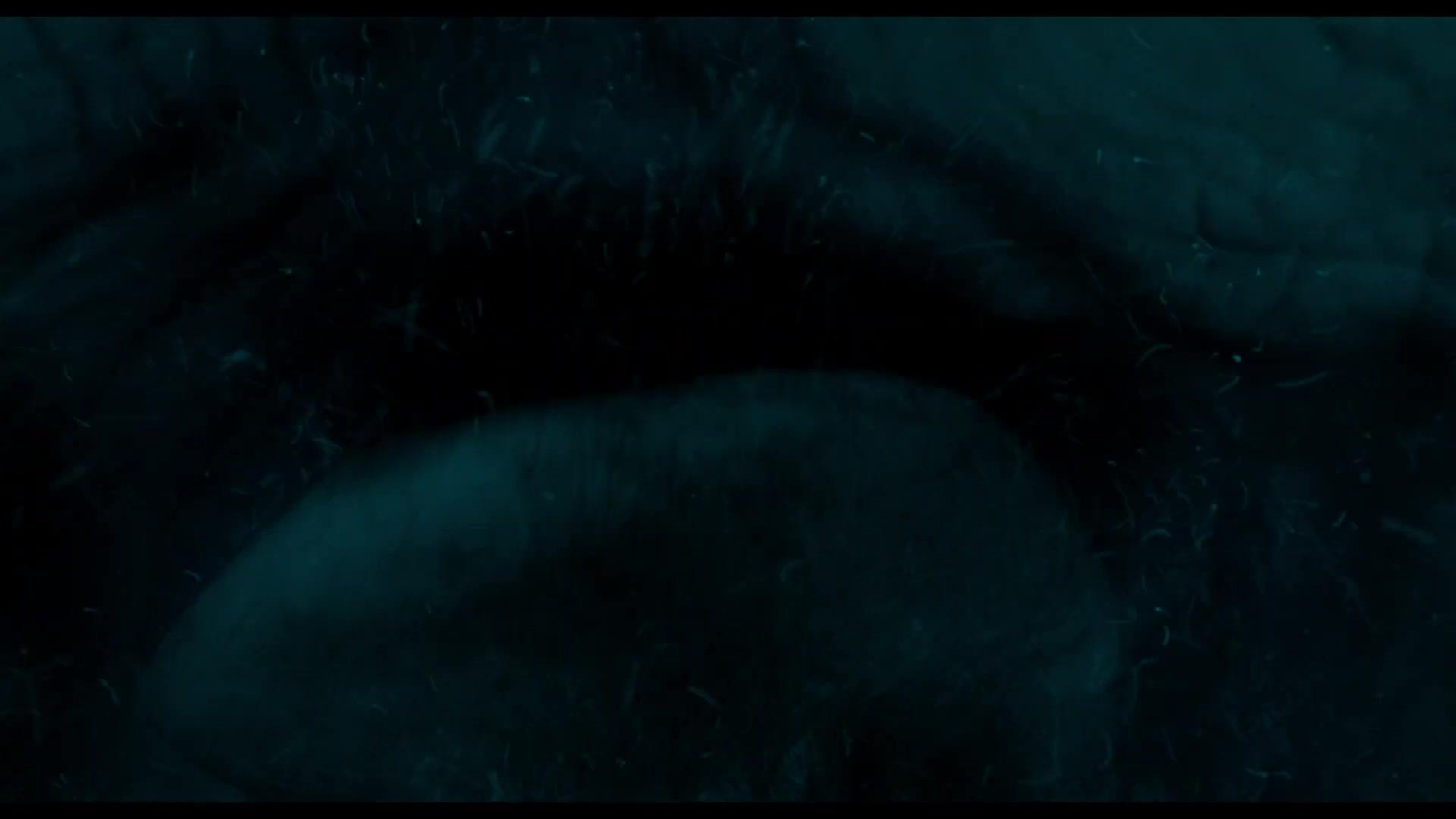 Whalefall - Trailer - Englisch - HD