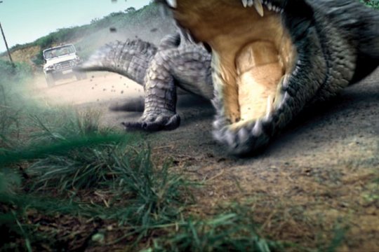 Million Dollar Crocodile - Szenenbild 3