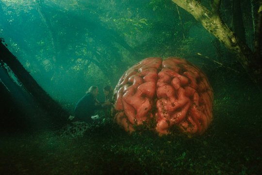 Tanz der Titanen - Szenenbild 5