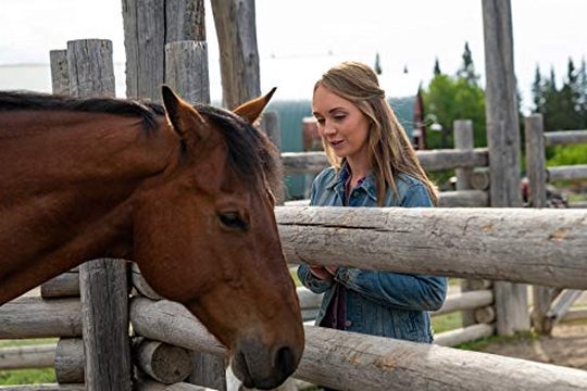 Heartland - Paradies für Pferde - Staffel 12 - Szenenbild 4