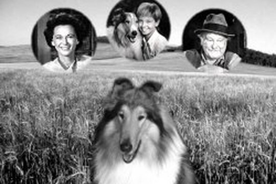 Lassie - Volume 1 - Szenenbild 5