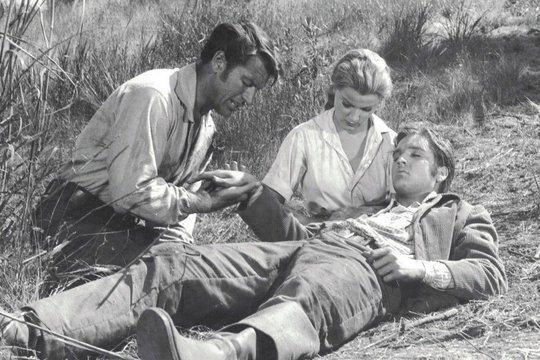 Love Me Tender - Pulverdampf und heiße Lieder - Szenenbild 1