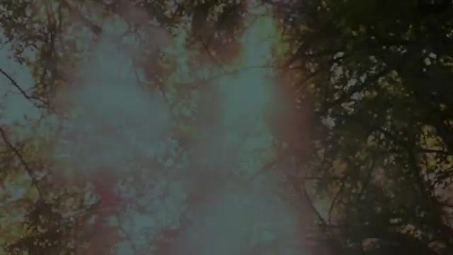 Alraune - Trailer - Deutsch - SD
