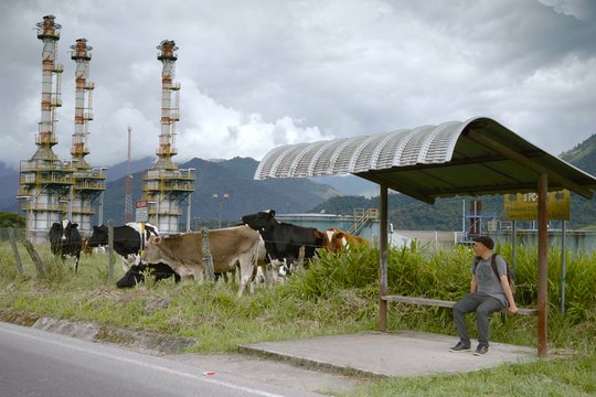 Wir, die Wolfs - Szenenbild 8