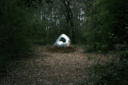 Alien Blood - Szenenbild 5