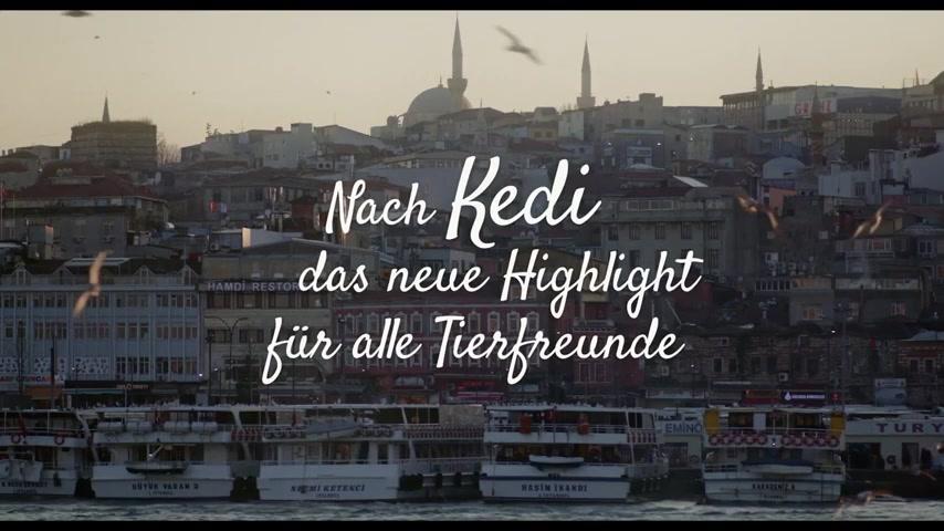 Streuner - Trailer - Deutsch - SD