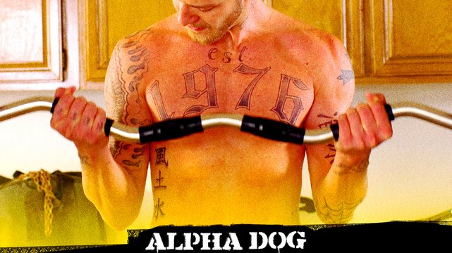 Alpha Dog - Wallpaper 3