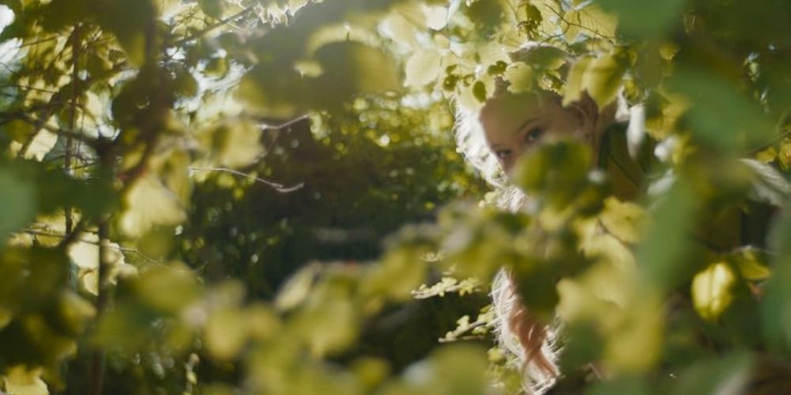 Der Wunderweltenbaum