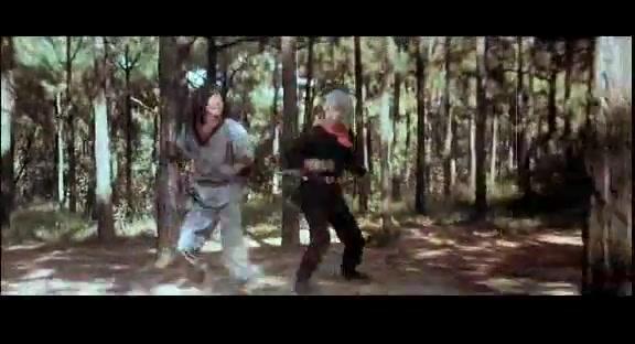 Ip Man - Final Fight - Trailer - Deutsch - SD
