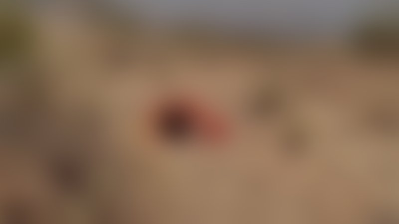 Dark Moon Rising - Trailer - Englisch - SD