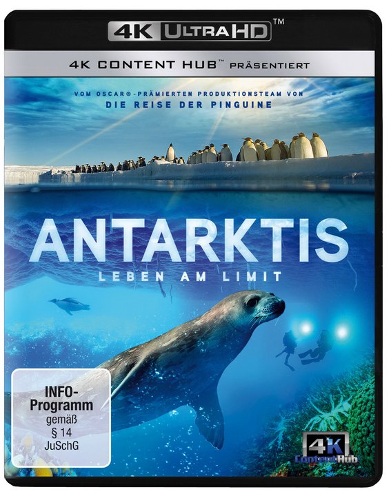 Antarktis - Leben am Limit (4K Ultra HD) (Blu-ray 4K Ultra HD)