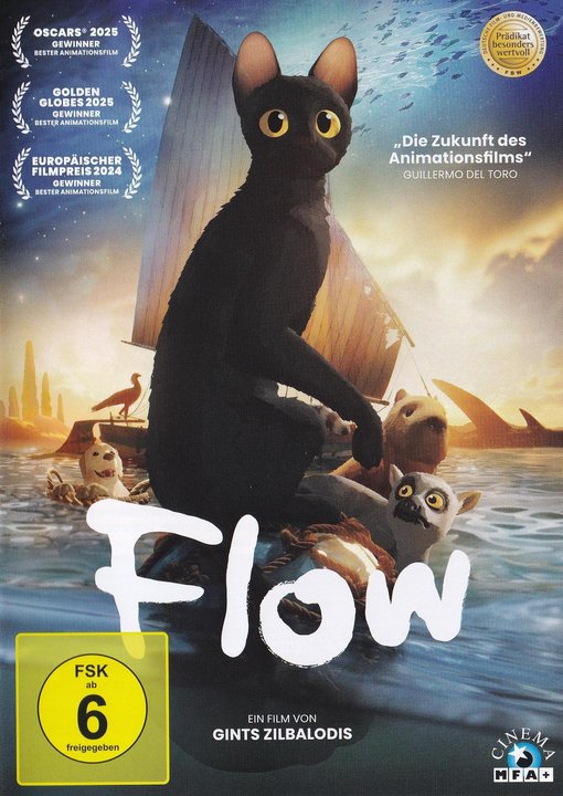 Flow (DVD), gebraucht