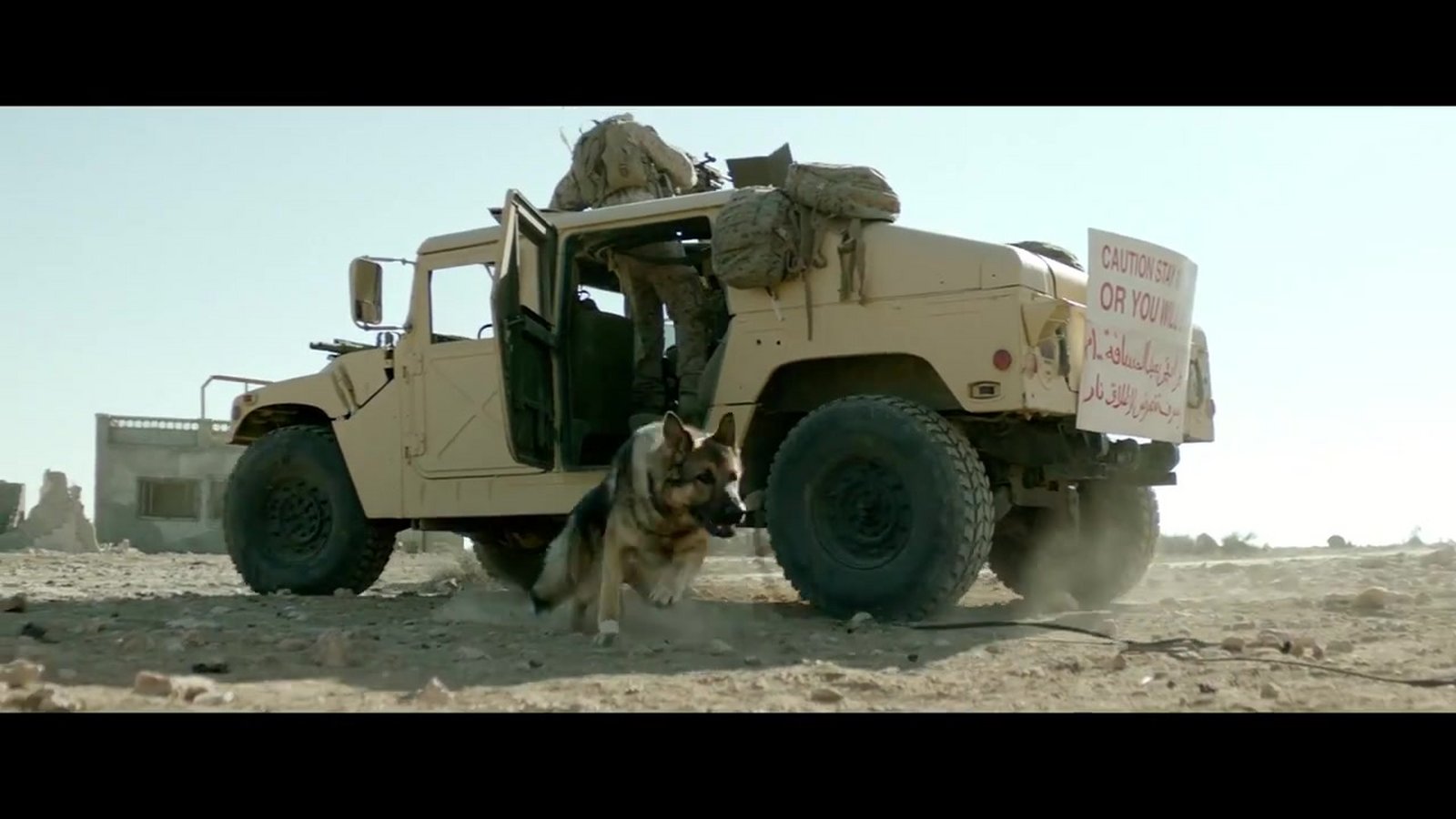 Sergeant Rex – Nicht ohne meinen Hund auf Blu-ray zu gewinnen   FASHIONPAPER – das Magazin für Fashion, Beauty und Lifestyle