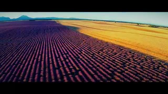 Affenkönig - Teaser - Deutsch - SD