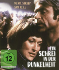 Ein Schrei in der Dunkelheit - Ein authentischer Fall