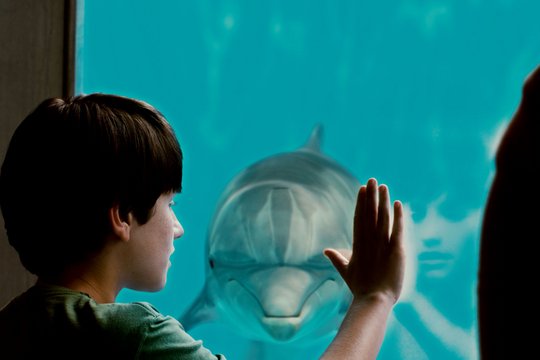 Mein Freund, der Delfin - Szenenbild 15