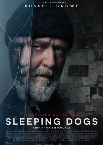 Sleeping Dogs - Poster 2
