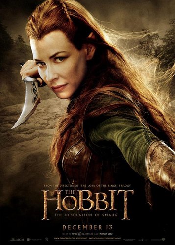 Der Hobbit 2 - Smaugs Einöde - Poster 11