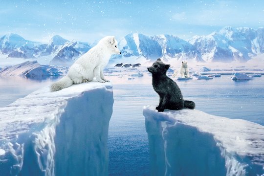 Die Abenteuer von Kina & Yuk - Szenenbild 2