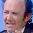 Norman Fields