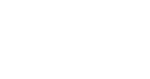 In the Grey
